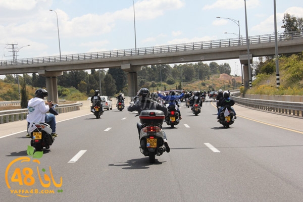 masira3j hasdj3 (36).JPG